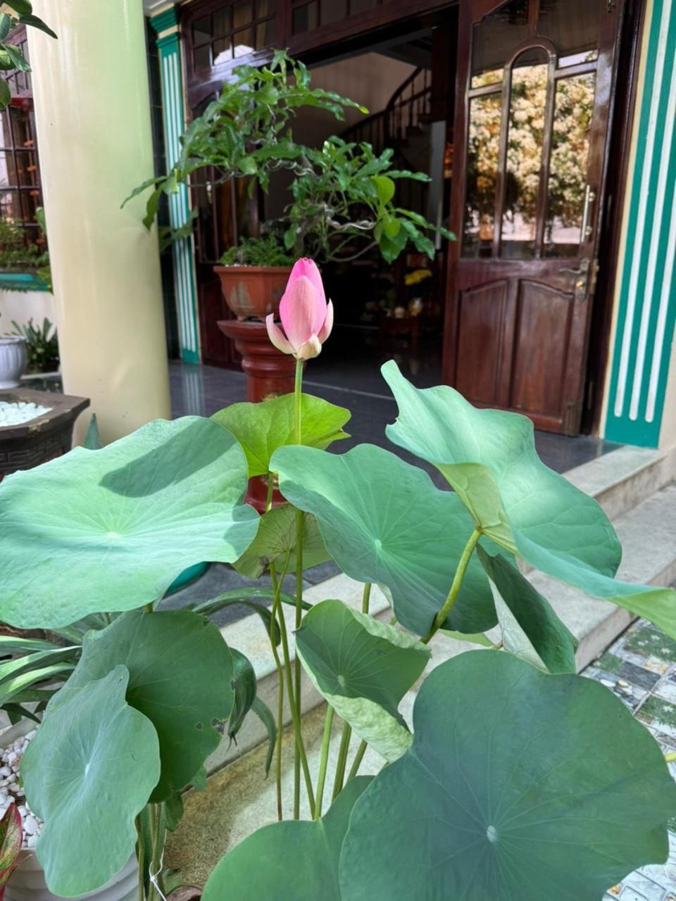 Noel Homestay Tuy Hoa Luaran gambar